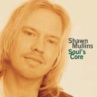 Patrick's Song_Shawn Mullins
