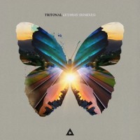 Getaway_Tritonal,Angel Taylor