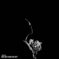 Defiance(feat. Braxton Cook)_Anthony Fung,Braxton Cook