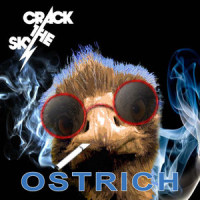 Big Elephant_Crack The Sky