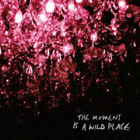 The Moment Is A Wild Place_Gord Downie,Bob Rock