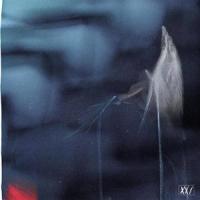 Void(feat. waerry, Plante Carnivore, CHRYSALIS & pierrot moon)_TEAM XXI,waerry,Plante Carnivore,Chrysalis,pierrot moon