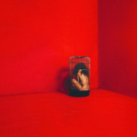 Slipping_Eryn Allen Kane
