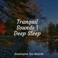 Soft Chords_Sonidos de la Naturaleza Relax,Spa,Natureza Musica Bem-Estar Academia