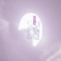 Transparent_0BM,Omar Ruiz