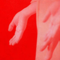Too Hands_Several Wives,Ryan Bradley