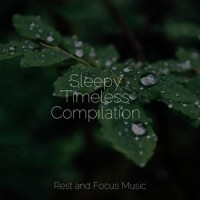 Let's Go to Sleep_Relaxing Nature Music,Mindfulness Meditation World,Deep Sleep