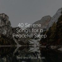 The Depth of Dreams_Sleepy Times,Mindfulness Meditation World,Kinderlieder Megastars