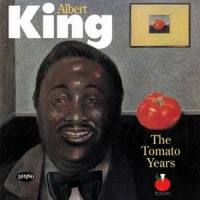 I'm Gonna Call You Soon As The Sun Goes Down_Albert King
