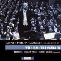 Hungarian Dances, woO 1: No. 1 in G Minor, Allegro molto_Wiener Philharmoniker,Wilhelm Furtwängler