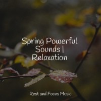 A Peaceful Place_Sleep Songs 101,Sleepy Times,Deep Sleep Meditation