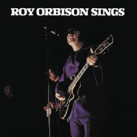 Plain Jane Country (Come To Town)_Roy Orbison