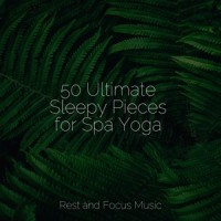 A Peaceful Place_Wellness,Namaste Healing Yoga,Reiki Music