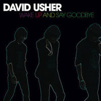 Wake Up And Say Goodbye_David Usher