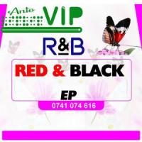 Visually IP(feat. Gracia)_Anto VIP,Gracia
