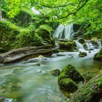 Alpha To Omega_Musica Relajante,Deep Sleep,Zen Music Garden