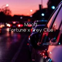 Mood(feat. Trey Clue)_Fortune,Trey Clue