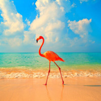 Straight Home to You_Two Year Vacation