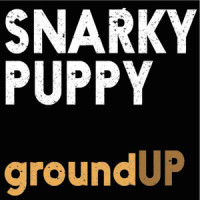 Thing Of Gold_Snarky Puppy