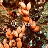October (Single Edition)_Connor Tuttle