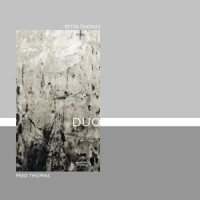 Piano Trio No. 1 in D Minor, Op. 49: II. Andante con molto tranquillo_Peter Thomas,Fred Thomas,Eduardo Vassallo
