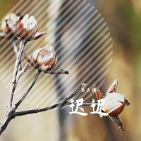 迟迟_洛天依