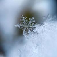 Fleeting Beauty_Channels