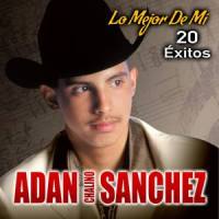 Nieves De Enero (feat. Chalino Sanchez)_Adan “Chalino” Sanchez,Chalino Sanchez