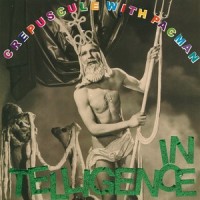 My Ears Are Dust_The Intelligence