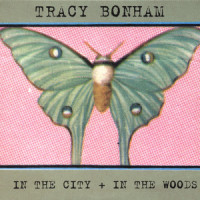 Your World Turns Upside Down_Tracy Bonham