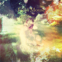 Falling(Twin Peaks Theme)_Field Mouse