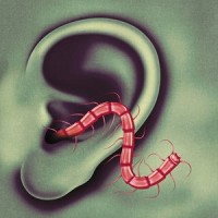 You Will Find It Here_Thee Oh Sees