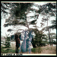 If I Had a Gun_Koda