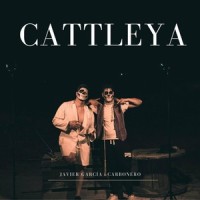 Cattleya_Javier Garcia