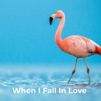 Happy Birthday_The Flamingos/The Crests
