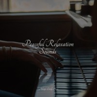 Nature's Growth_Relaxing Piano Jazz Music Ensemble,Piano Pianissimo,Piano for Studying