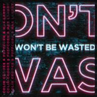 Won't Be Wasted_Colin Crooks,PuFFcorn,Max Landry,Nicolas Crombé,Huang Hao Wei,Maxwell C Landry