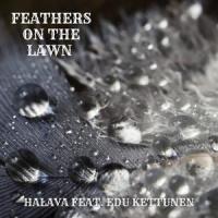 Feathers on the lawn (feat. Edu Kettunen)_Halava,Edu Kettunen