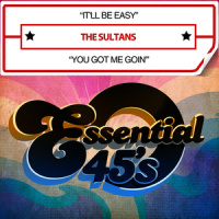 You Got Me Goin'_The Sultans