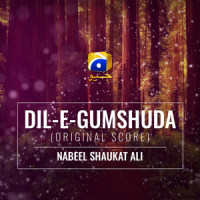 Dil-E-Gumshuda(Original Score)_Nabeel Shaukat Ali