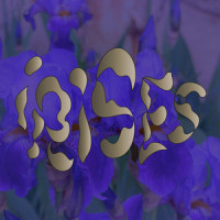 Requiem_Saturday, Monday