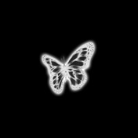 Love_Palace