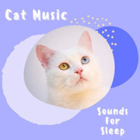 Live Piano_Pet Music Therapy,Pets Love Music,Piano Peace