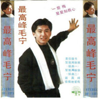 最后一次等待_毛宁