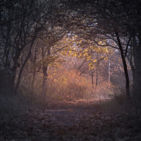 Time with You_Rain Recorders,Ayurveda,Musica Relajante