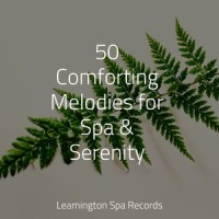 Aural Waves_Cascada de Lluvia,Sleepy Times,Yoga Namaste