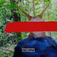 脑细胞解散_林木森J.Forest,C-Low