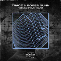 Voices In My Head_TRACE,Roger Gunn,Revealed Recordings
