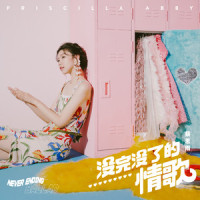 没完没了的情歌_蔡恩雨