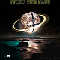 Bring The Bass_Ridley Slim,Chris Foster